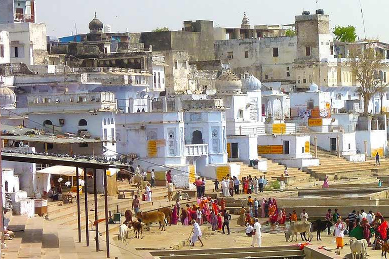 2-Day Royal Rajasthan Cultural with Guided Tour Tour Private Car With Guide