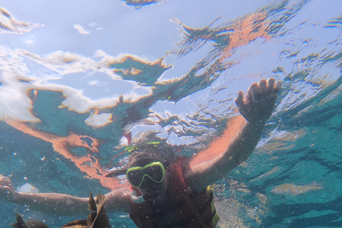 BFT Nusa Penida: Snorkeling to Manta Point &amp; Manta BayShare snorkeling group up 100 Pax