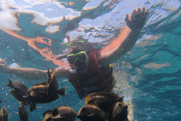 BFT Nusa Penida: Snorkeling to Manta Point &amp; Manta BayShare snorkeling group up 100 Pax