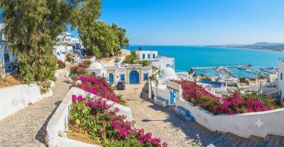 From Hammamet or Nabeul: Half-Day Trip to Sidi Bou Saïd and Carthage
