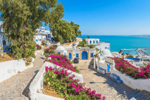 From Hammamet or Nabeul: Half-Day Tour to Sidi Bou Said, Carthage, Medina