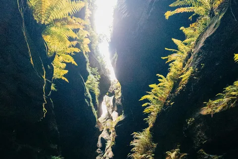 From Edinburgh: Highland Hike, Gorge Walking and Whisky Tour