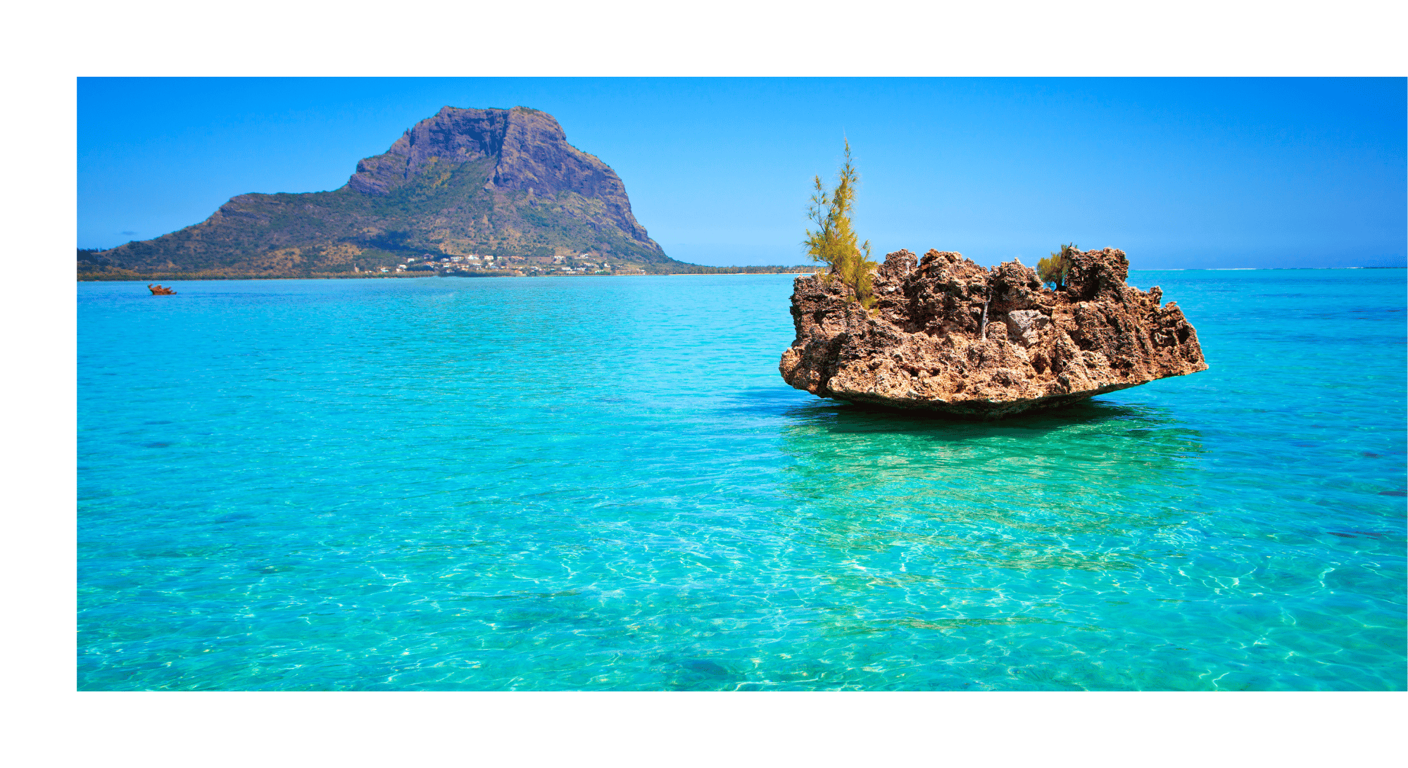 Mauritius: Delfinbegegnung & Benitier Island