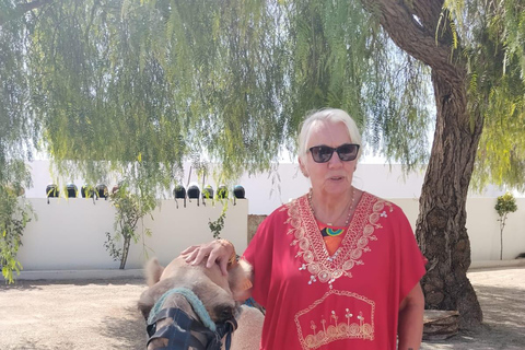 Hammamet: Dromedary and horse-drawn carriage ride with olive oil tasting Hammamet: Dromedary Ride and Carriage Ride with Olive Oil Food Tasting