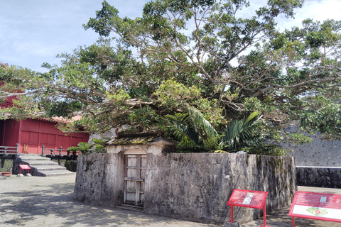 Naha: Shurijo Castle & Tamaudun Guided Walking Tour Morning visit
