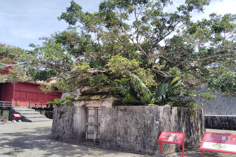 Naha: Shurijo Castle & Tamaudun Guided Walking Tour Morning visit