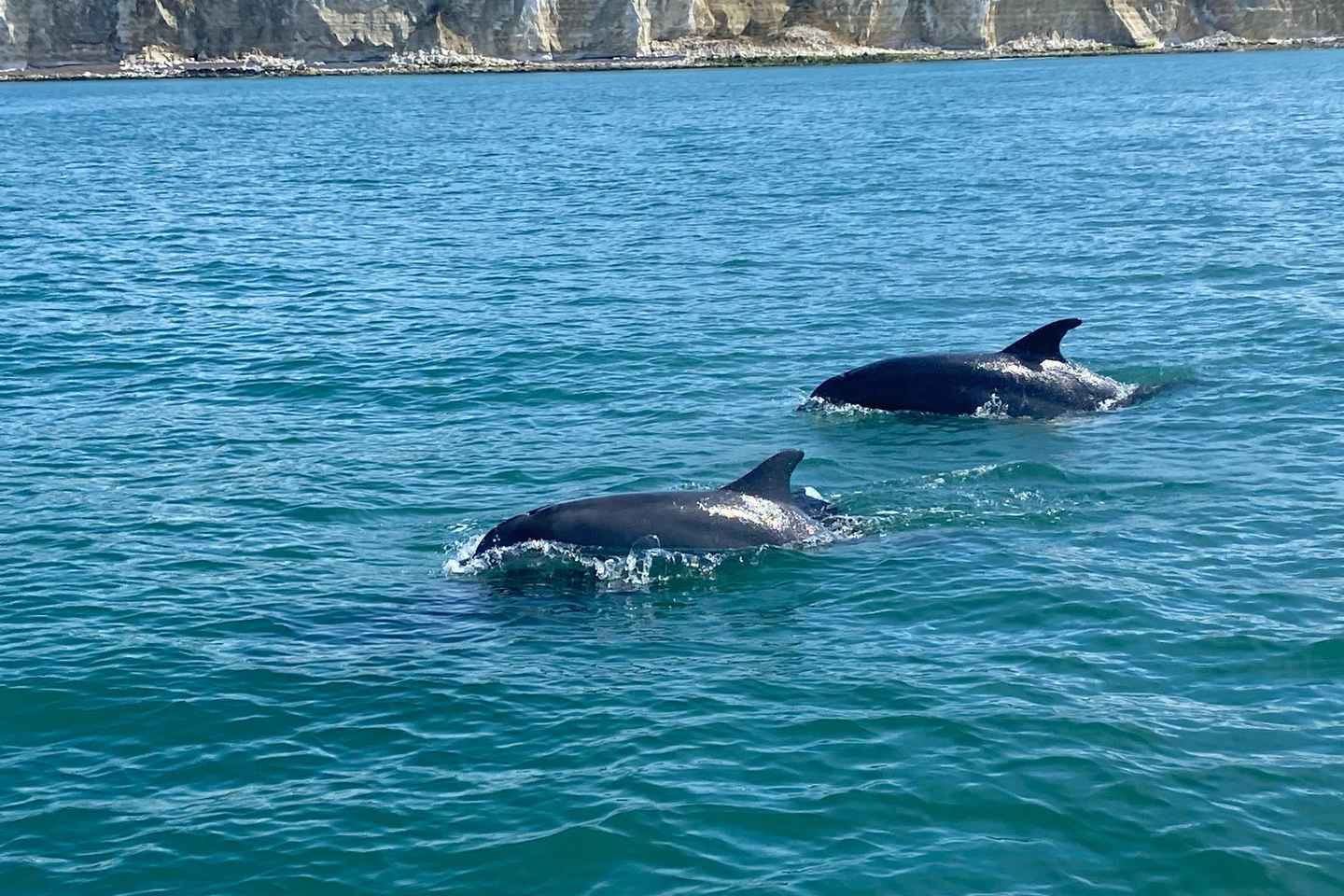 Desde Brighton: Tour en Barco por las Siete Hermanas