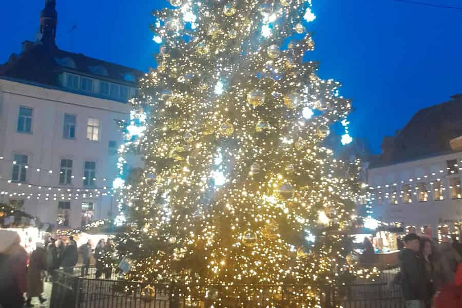 Weihnachtliche Rundgang Tour Tallinn Weihnachtsmarkt. Foto: GetYourGuide