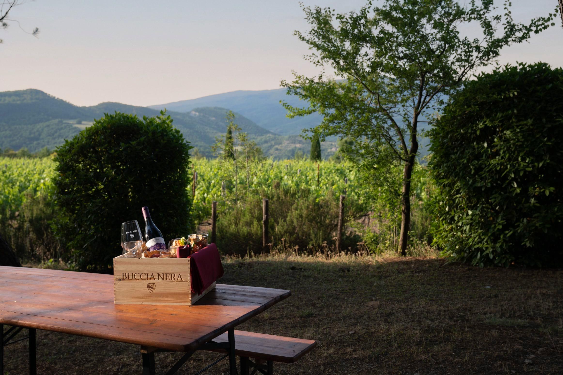 Weingut Buccia Nera: Picknick, Weinberg, Wein, Essen und Natur