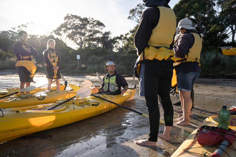 The Freycinet Paddle Kayak Tour