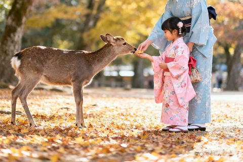Kyoto/Nara: Must-see Spots in One Day Tour with Hotel Pickup