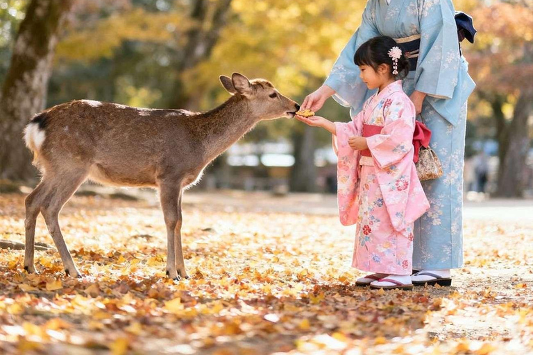 Kyoto/Nara: Must-see Spots in One Day Tour with Hotel Pickup