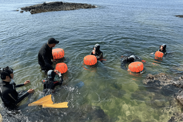 Jeju: Haenyeo Culture Experience with Seafood Tasting