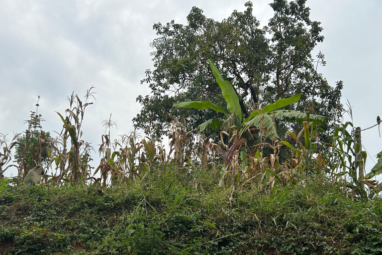 Sseguku: Hike Sseguku Prayer Mountain and Meditation