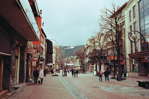 Depuis Cracovie : Excursion privée d&#039;une journée à Zakopane avec des locaux