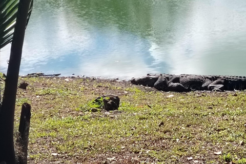 Bacalar: Ichkabal mayan temples & boat tour. Ichkabal only mayan temples guided tour.