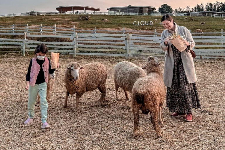 Eobi Valley, Sledding, Strawberry Picking, and Sheep Ranch Private Tour with Hotel Pickup