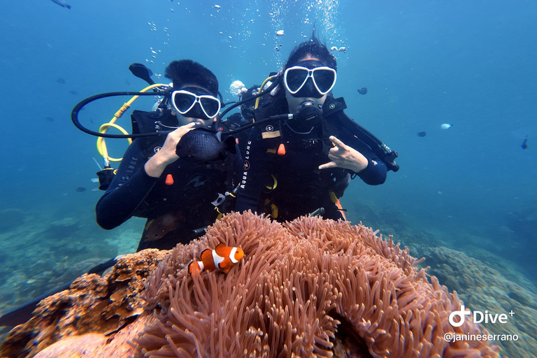 Boracay : Circuit dans les îles en bateau avec plongée en apnée et plongée sous-marine