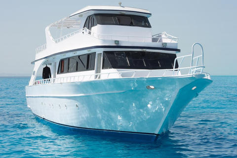 Hurghada: Dive Experience for Beginners or Certified Divers Full-Day Scuba Diving for Certified Divers