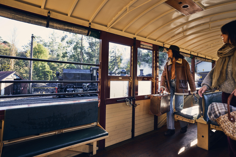 Melbourne: Tour di un giorno della ferrovia Puffing Billy e della parata dei pinguiniPacchetto impermeabile/parrucca