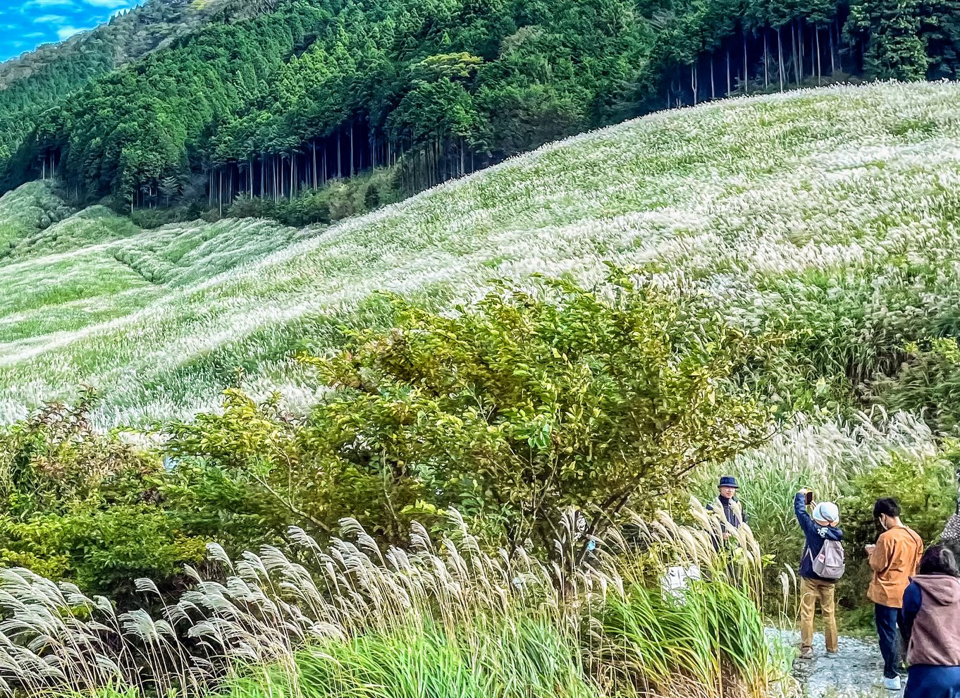 Tokyo: Fuji-bjerget, Hakone, krydstogt ved Ashi-søen og Bullet Train