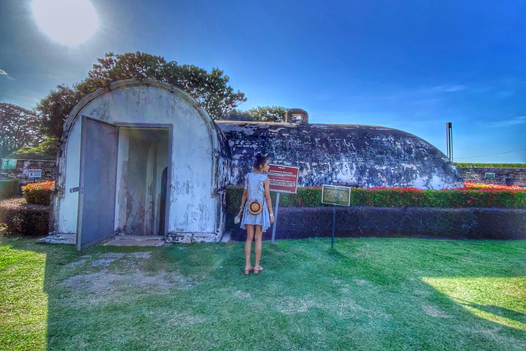 Georgetown: Culture, Forts & Reclining Buddha Half Day Tour Shared Tour