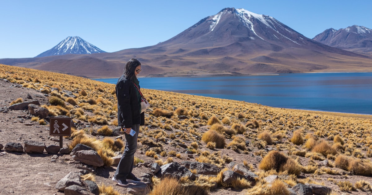 San Pedro de Atacama Piedras Rojas y Lagunas Altiplánicas GetYourGuide