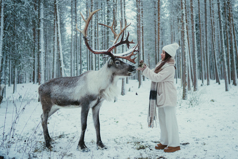 Rovaniemi: Reindeer Farm Visit with Photographer