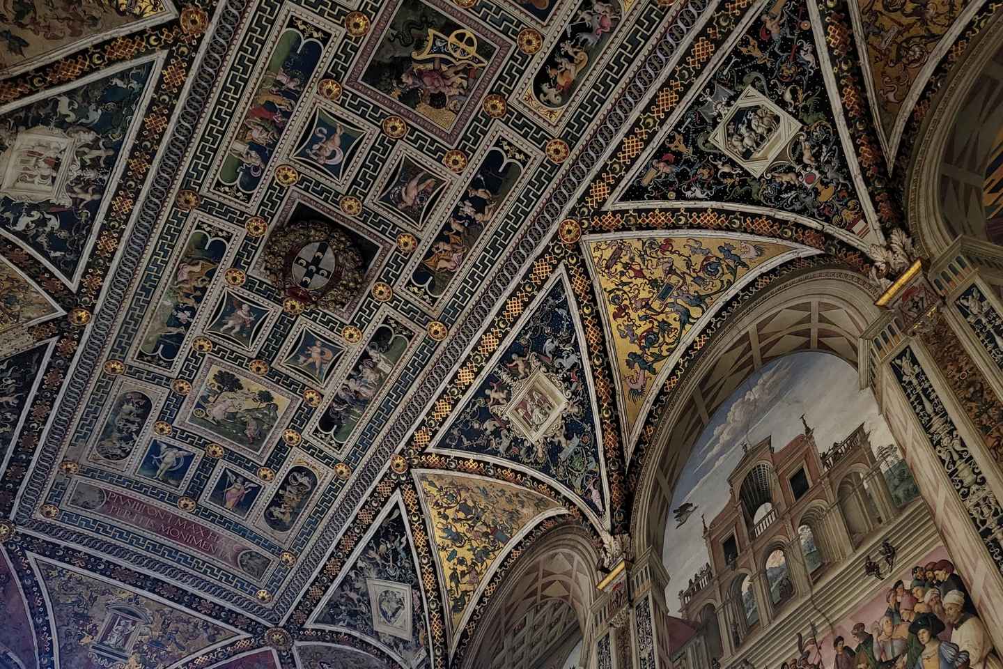 siena