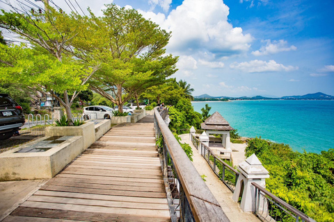 كوه ساموي: جولة نصف يوم في المدينة مع خدمة الاستقبال من الفندق