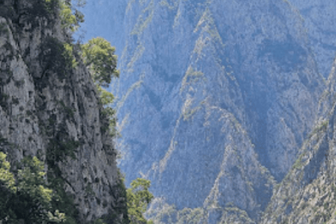 From Tirana: Komani Lake and Shala River Tour Speedboat Incl