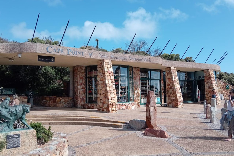 Cape town:Cape of good hope afternoon tour/penguins