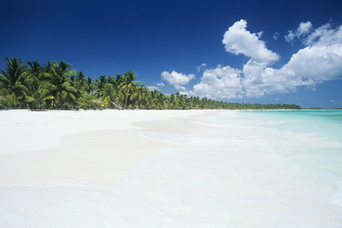 From Punta Cana: Saona Island Catamaran Cruise with Lunch