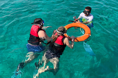 Marsa Alam: Sunset Snorkeling Trip with Turtles & Dugong
