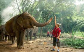 From Chiang Mai: Kerchor Eco Elephant Park Tour