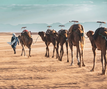 Marrakech to Zagora Desert: 2-Day trip via Ait Benhadou