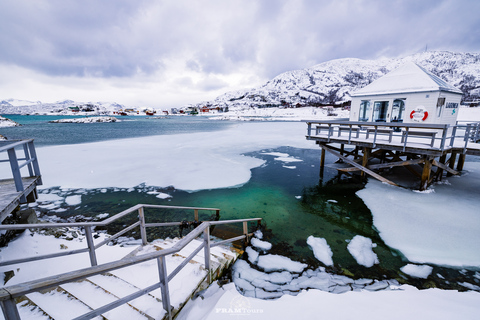 Tromso: Wyprawa z przewodnikiem po fiordach i wyspa Kvaløya z lunchem