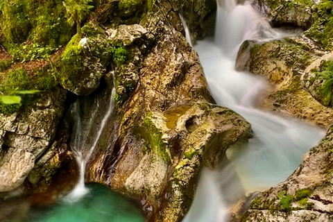 E-bike tour to the Great Soča gorge & Šunik water grove