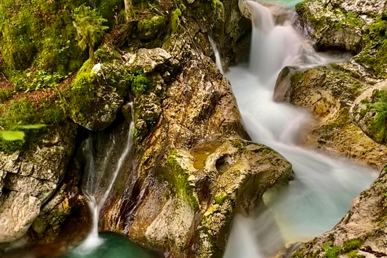 E-bike tour to the Great Soča gorge & Šunik water grove