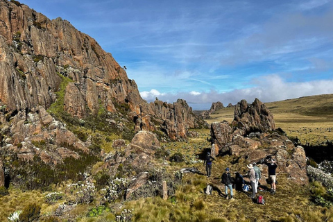 Aberdare Highlands: North to West Trekking Experience