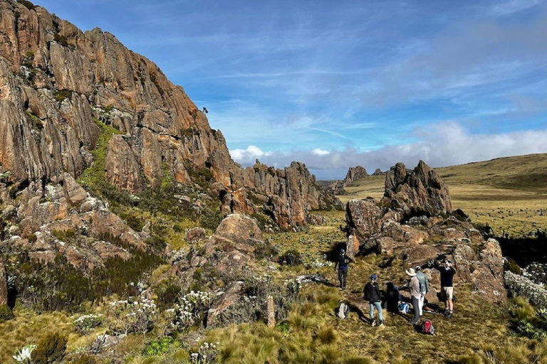 Aberdare Highlands: North to West Trekking Experience