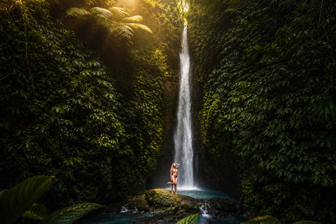 Bali: Monkey Forest, & Temple, With Waterfall, Swing Tour Private Tour Entry Ticket
