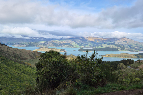 Christchurch Private Scenic Highlights Tour with Local Guide