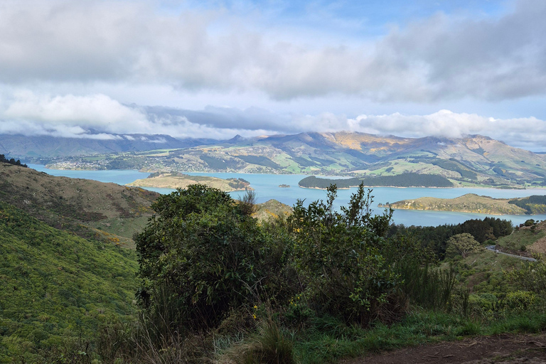 Christchurch Private Scenic Highlights Tour with Local Guide