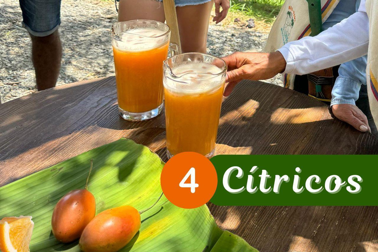 Medellin: Coffee and fruit tour