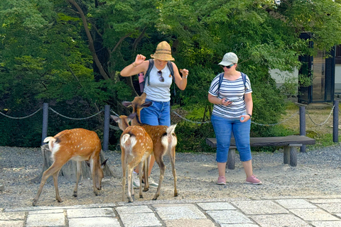 Nara: Hike Mt. Wakakusa and Encounter Wild Free-Roaming Deer