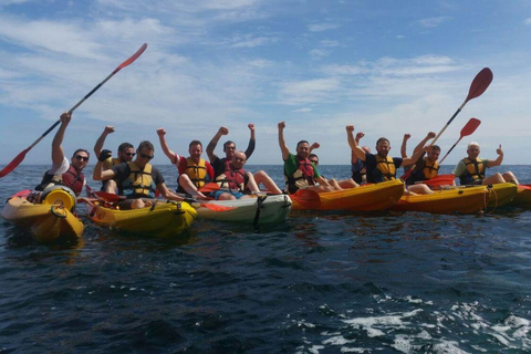 Valencia: Kayak Excursion