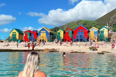 Cape of Good Hope and Penguins Full-Day Private Tour Private tour: Cape of Good Hope and Penguins Full-Day Tour