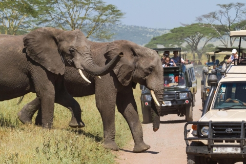 2 Days Safari to Tarangire and Ngorongoro Crater