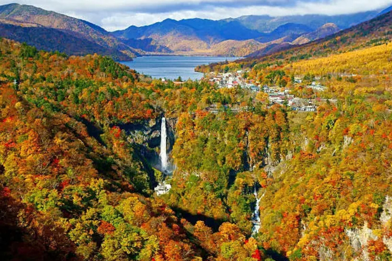 Tokyo: Nikko World Heritage Sites Scenic Private Day Tour